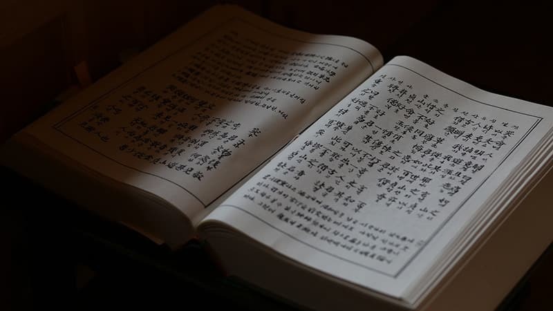 Профессиональный перевод или онлайн-переводчики: в чем разница?